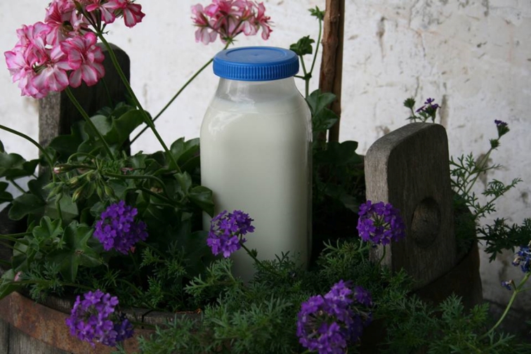 Milchzustellung in Deutschlandsberg